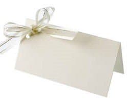 PACK OF 50 PLAIN IVORY WEDDING TABLE NAME PLACE CARDS WITH TWO HOLES FOR RIBBON