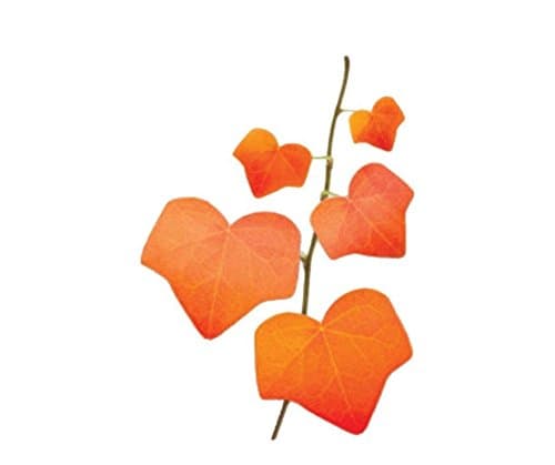 jileSM Maple Leaves Shaped Sticky Note Memo Convenience Sticker