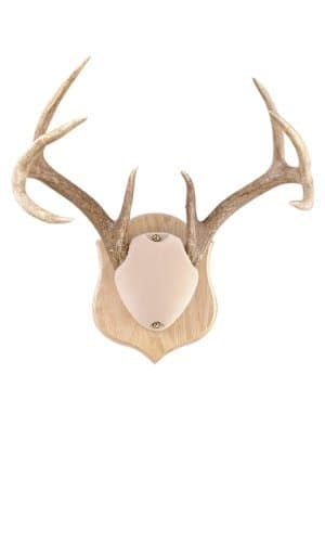 Quaker Boy Deluxe Horn Mount Kit by Quaker Boy