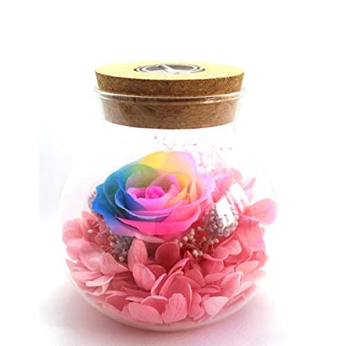 [New Version 2017] Havenfly Handmade Preserved Flowers Rose Decor with Apple-Shaped Glass-Best Gift for Valentine's Day, Mother's Day, Birthday (Blue)