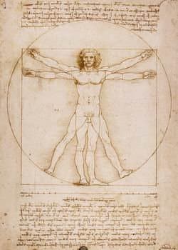 16X20 inch Leonardo Da Vinci Code Canvas Print RePro Vitruvian Man
