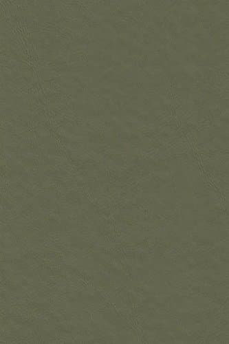 Galaxy Heavyweight Vinyl Tablecloth, 52X70 Oblong (Rectangle), Mint [Kitchen]