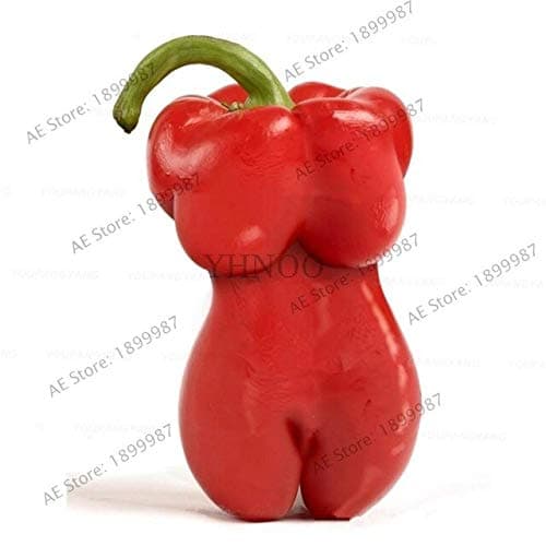 Bra Hot - 200 Pcs Mixed Yellow Puple Red Green White Mix Sweet Bell Hot Pepper Bonsai Vegetables Paprika, Plant for Home Garden(Seed) - by Abuldahi