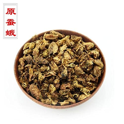 Tomox Late silkworm moth moth Wei Chinese silkworm moth Manduca in 500 grams