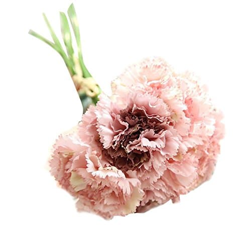 Fenebort Carnations Silk Flower 6pcs