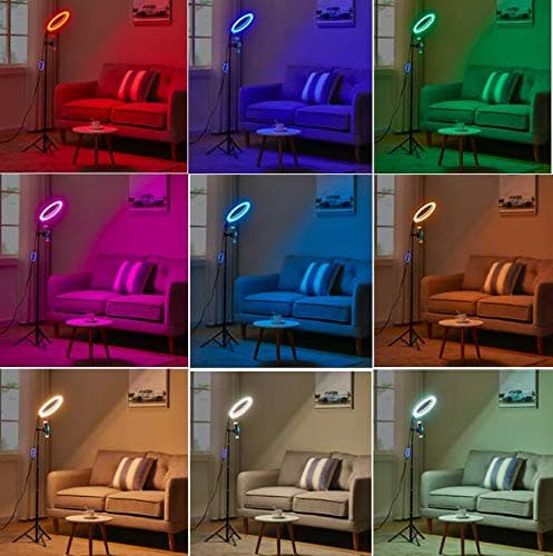 10.2" Ring Light,Floor Telescopic 27"-75" Height/RGB 9 Color Options/2 Flash Modes/with Makeup Mirror & Cell Phone Holder,for YouTube Video,Live Stream Stage Party,Selfie Ring Floor Lamp