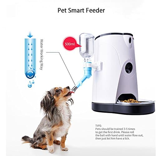 M3M Automatic Pet Feeder And Drinking Fountain (Enhanced Version) Intelligent Control Video Surveillance Camera Voice Talk Automatic Feeding Cat & Dog Timer (4 L)