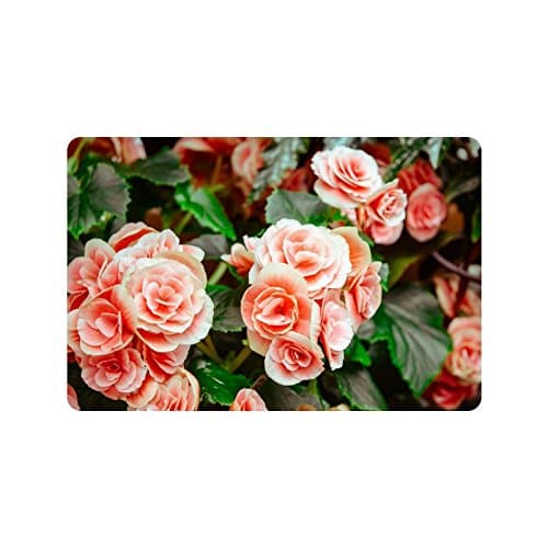 Special Design Custom crabapple flowers Personalized Non-Slip Machine Washable Bathroom Indoor/Outdoor Doormat 23.6 by 15.7 Inch