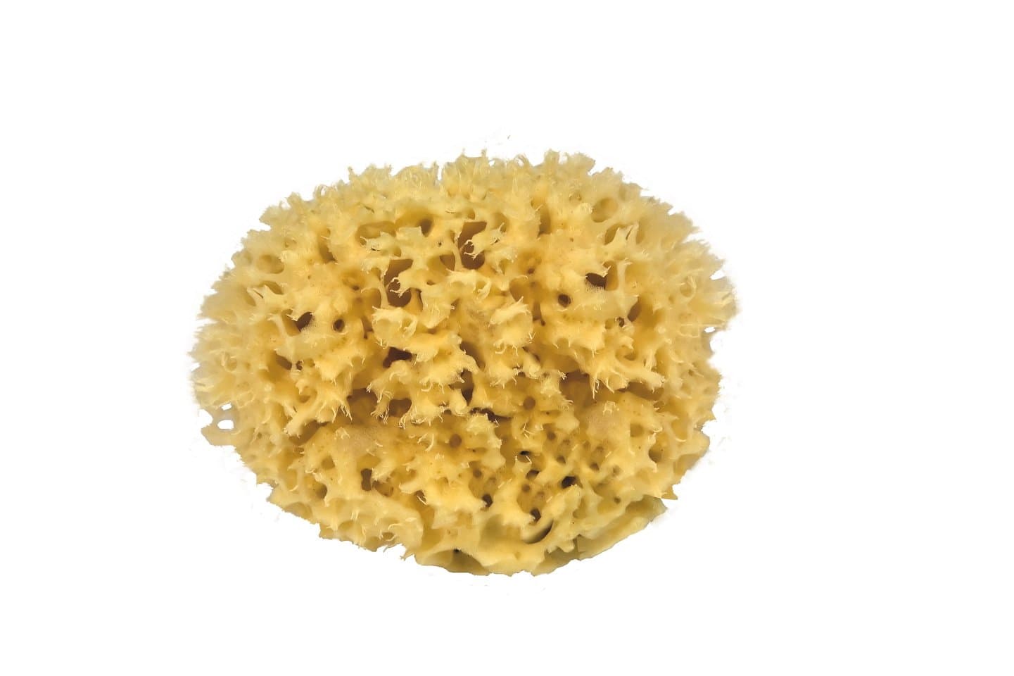 Croll & DeneckeNatural sponge Honeycomb 9 cm