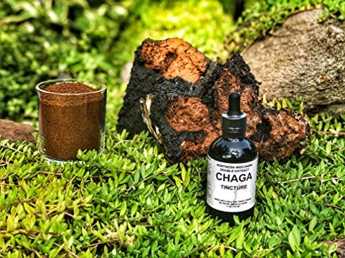 4 oz Chaga Double Extract Tincture 190 Proof Alcohol Extraction. Supplement for The Immune System and Blood Pressure. Anti Inflammatory, Super Antioxidant, Anti Viral and Protects The Liver.