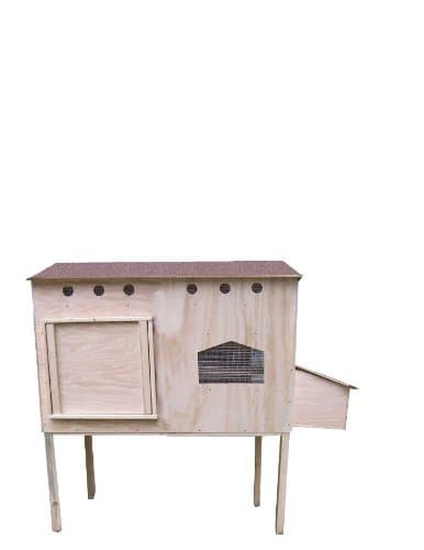 Creative Coops Hen House Starter Kit, Family