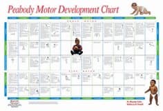 Proed PDMS-2 Peabody Developmental Motor Scales—Second Edition: Full-Color Chart Health and Beauty