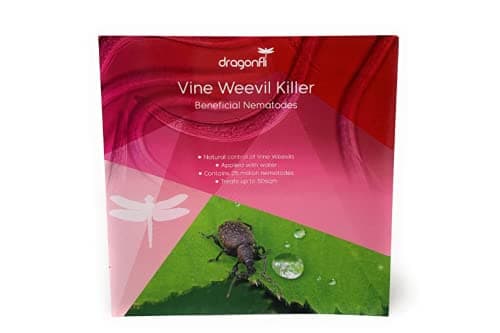 Vine Weevil Killer Nematodes Standard Pack 10sqm