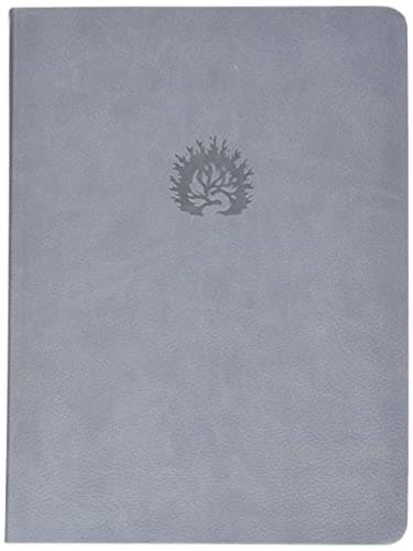 NKJV Reformation Study Bible, Light Grey Leather Bound – 15 Mar. 2016