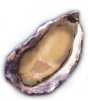 Charleston Seafood Oysters, 50 count box