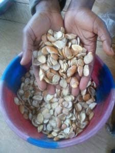 Ogbono whole seeds (100 gram)