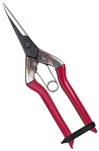 Chikamasa bud shears T-551 (japan import)