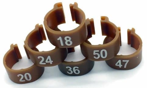 100 Numbered Chicken Leg Bands (brown) 445