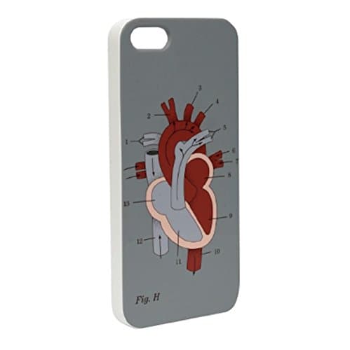 Magpie Jay Anatomical iPhone 5 Case - Organs Heart