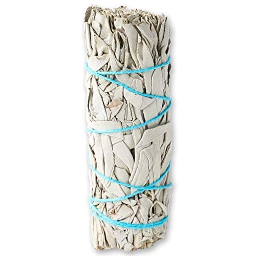 12 Pack White Sage ~ Sage Smudge Sticks for Smudging & Cleansing Energy ~ Bulk/Wholesale ~ Sustainably Grown (12 Pack)
