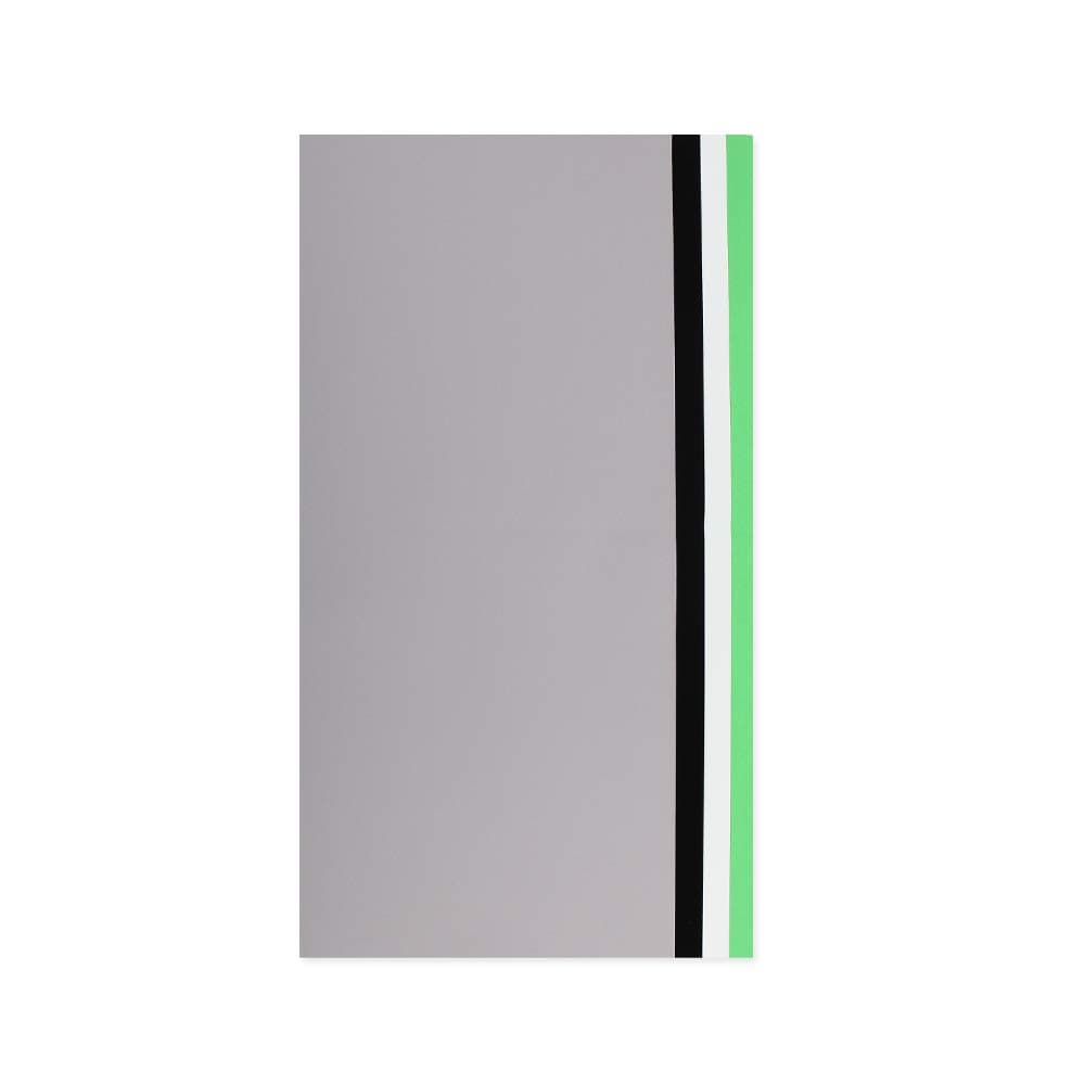 Foldio2 Plus Extra Backdrop Set (Photography Background Collapsible Backdrop for Photo Shooting Mini Studio Box Black/White/Gray/Green) by ORANGEMONKIE