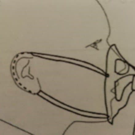 OxyMask with Dual Ear Strings - OM-1425-8