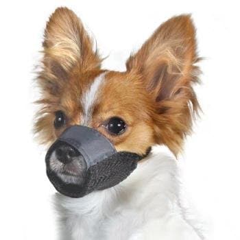 Petco Nylon & Mesh Dog Muzzle, X-Small, Color:Black