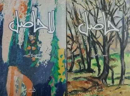 Hasil Aur La Hasil (2 Novels By Umera Ahmed)