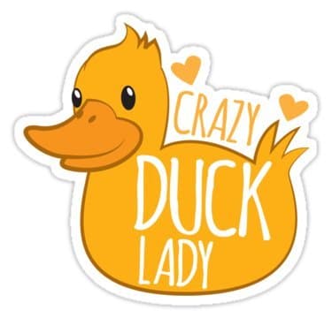 Crazy Duck Lady (Size W8.5 x H8.2 Centimeter) Sticker for your laptop Skateboard Luggage Car Travel case Snowboard Motorcycle Bicycle
