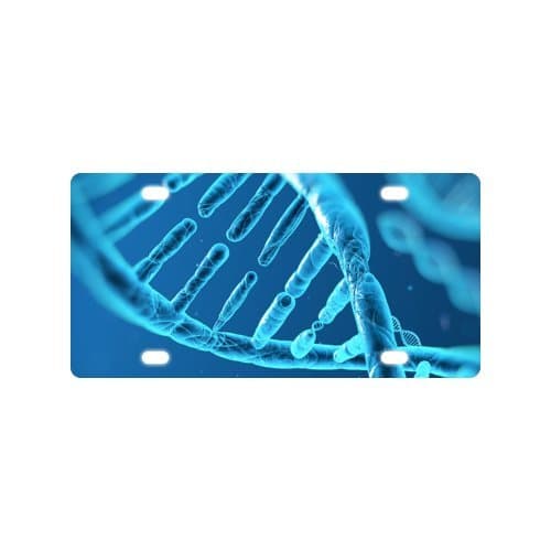 DNA License Plate with-12" X 6" inches