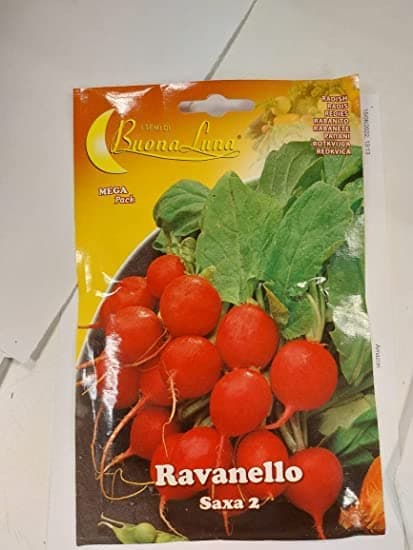 BUONA LUNA RAVANELLO (RADISH)