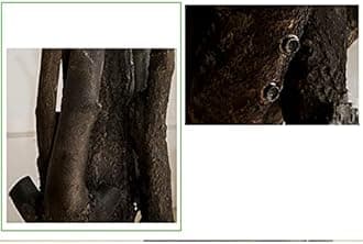 XOBODI Artificial Japanese Pink Cherry Blossom Tree,Large Plant,Handmade Fake Sakura Silk Flower Decoration,Wishing Tree,For Wedding Event Indoor Outdoor Party Restaurant 1x0.6m/3.2x1.9ft