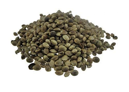 Hemp seeds 20Kg Hemp Seeds hemp