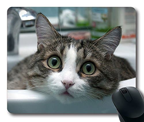 Custom Special Mouse Pad with Cat Sink Eyes Wash Basin Non-Slip Neoprene Rubber Standard Size 9 Inch(220mm) X 7 Inch(180mm) X 1/8 Inch(3mm) Desktop Mousepad Laptop Mousepads Comfortable Computer Mouse Mat