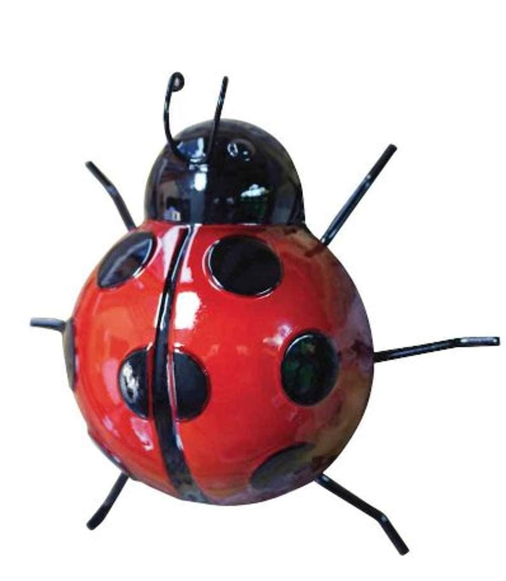 Garden Friends Ladybird Medium