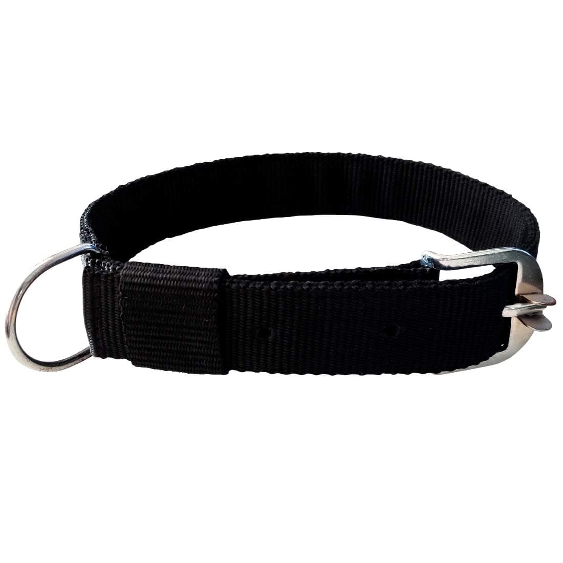 Pawzone 1 Inch Black Dog Collar"