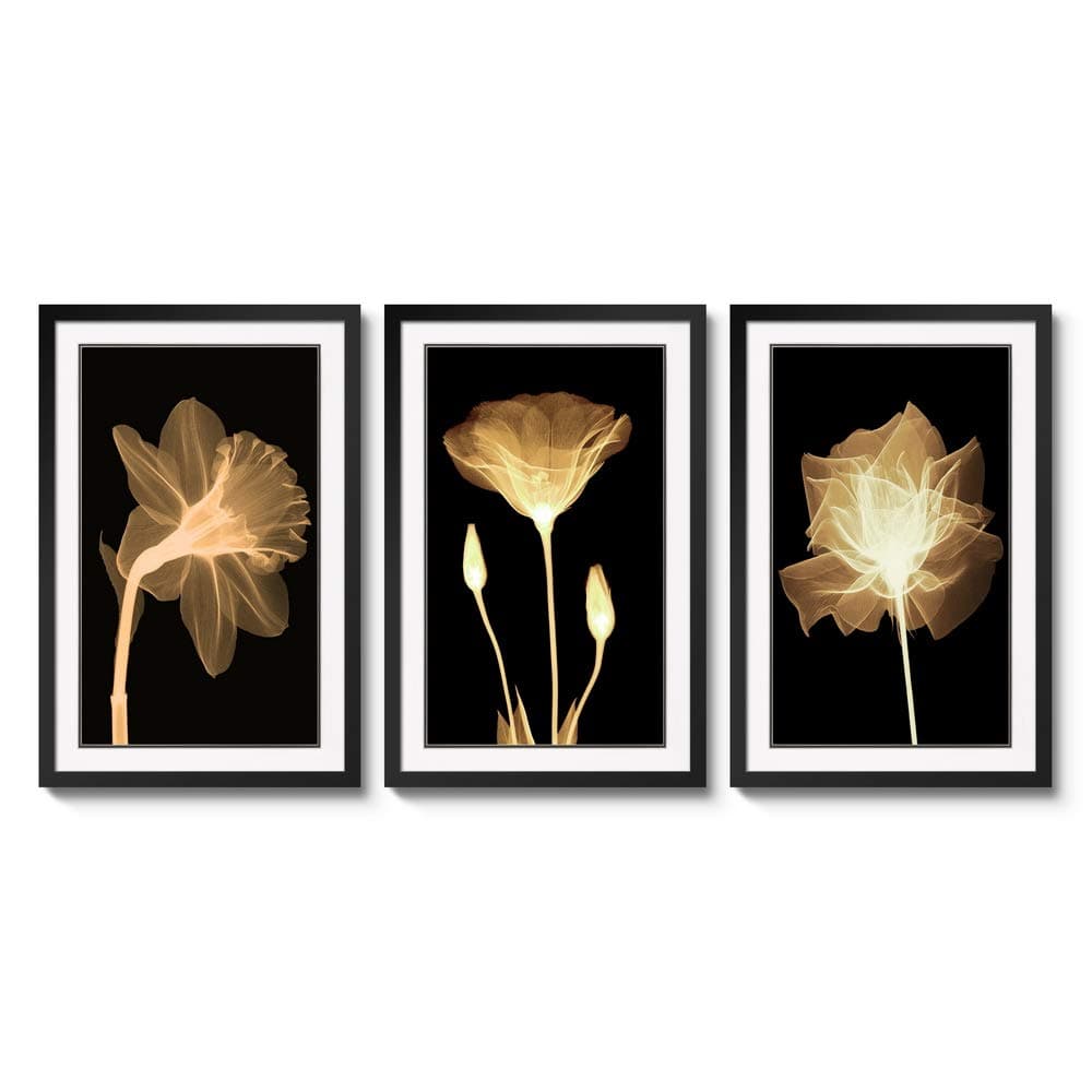 3 Panels Black Frames Giclee White Mat Artworks Black White and Gold Wall Art Canvas Prints Decor Framed Flowers Painting Poster Printed On Canvas Poppy Pictures for Home Decorations (A, L)