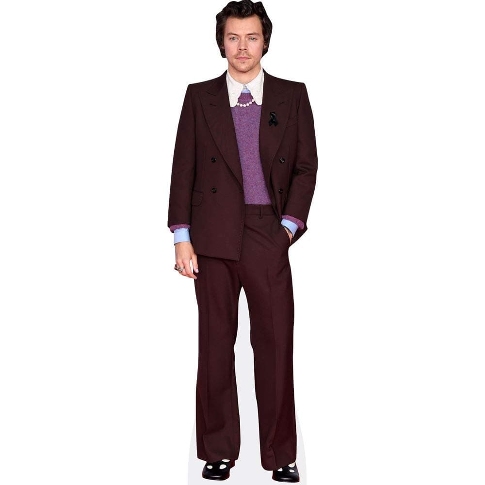 Harry Styles (Burgundy Suit) Mini Size Cutout
