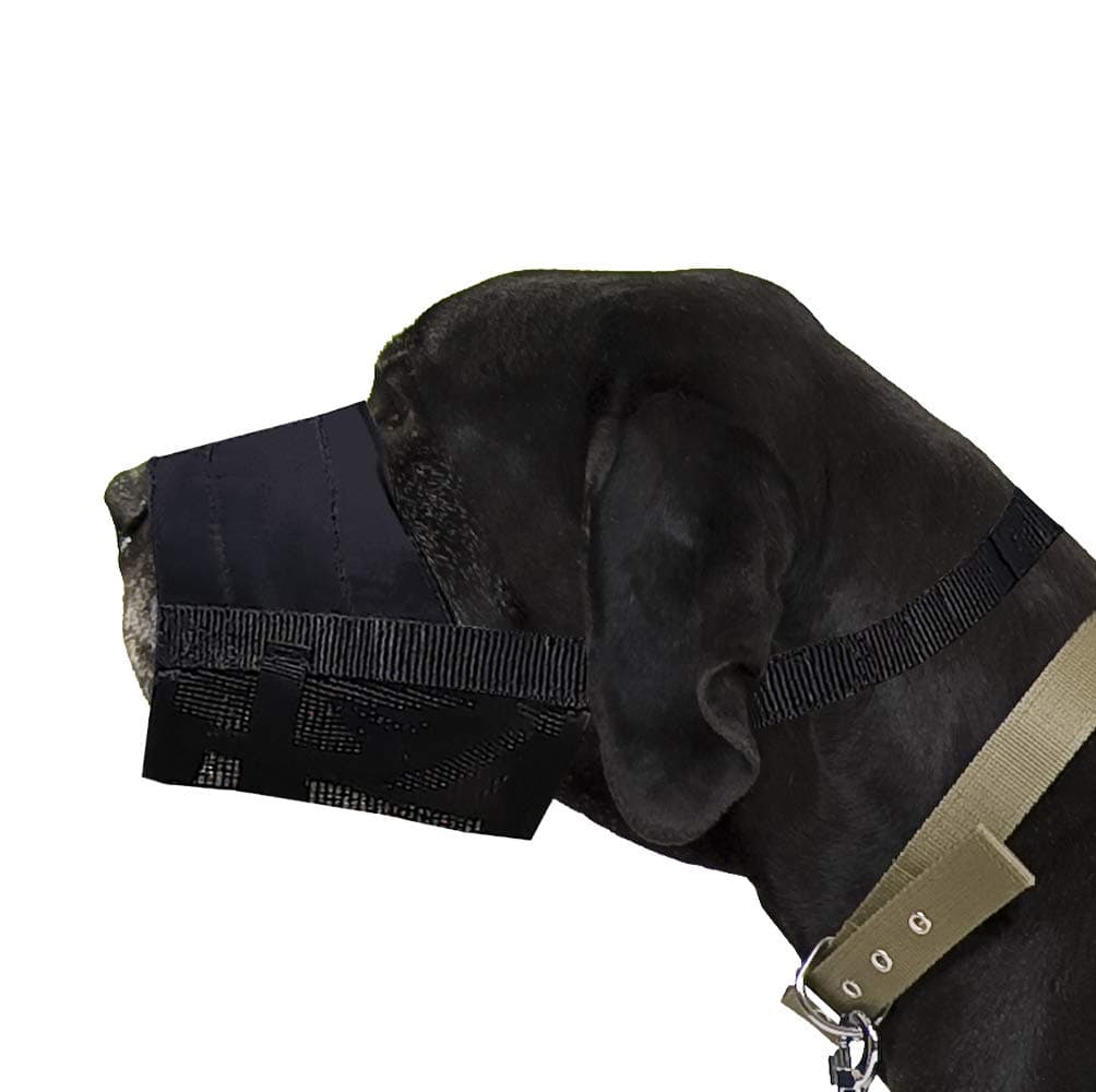 Dingo Waldemar Rutkowski Nylon Muzzle for Rottweiler, Deutsche Dogge, German Shepherd, Large Breeds 16777, Black, XL