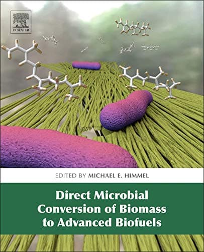 Direct Microbial Conversion of Biomass to Advanced