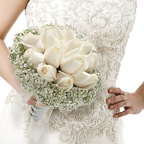 Vistaflor - Wedding Rose & Million Star Elegant Collection Solid Colors Ivory 10 Pack