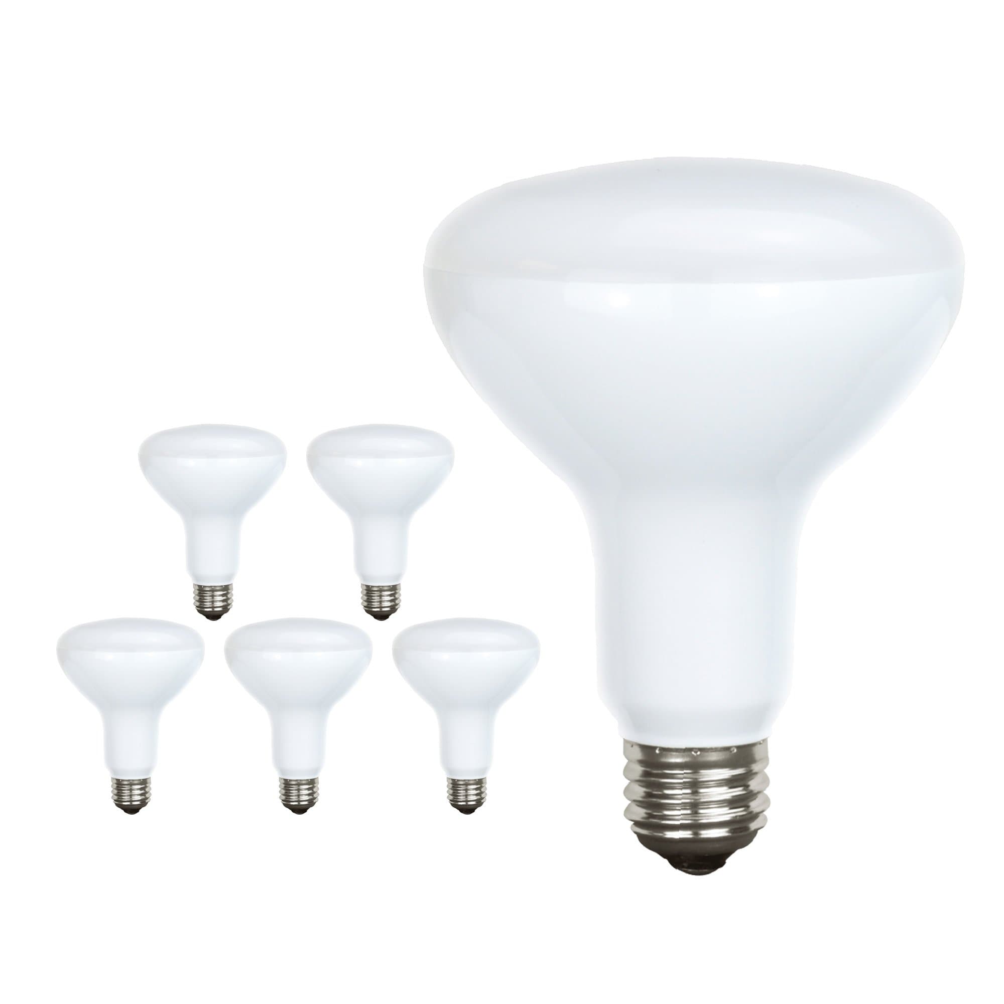 VIZTA Vbr30en65p6 BR30 (6 Pack), Small, White