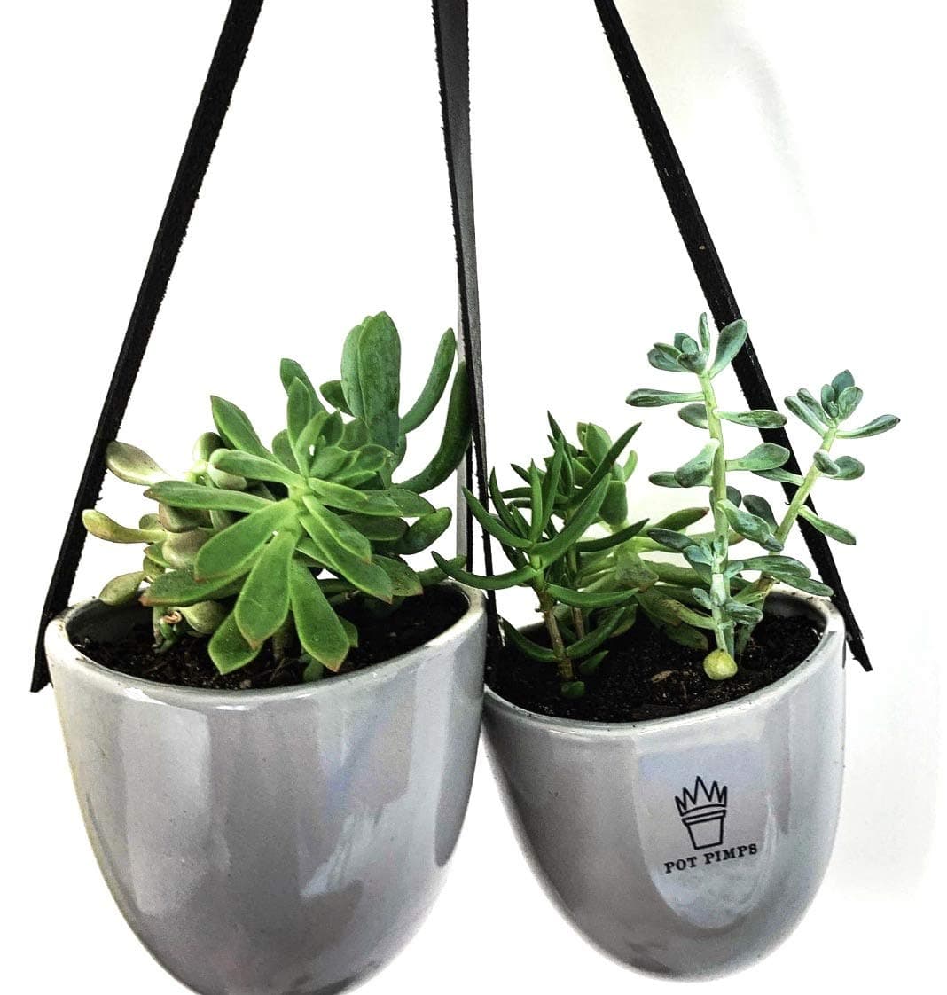 POT PIMPS Ceramic Wall Planter Hanging Planter for Indoor Plants Wall Decor Set of 3 Grey Plant Pots Home Bathroom Decor Christmas Birthday Gift