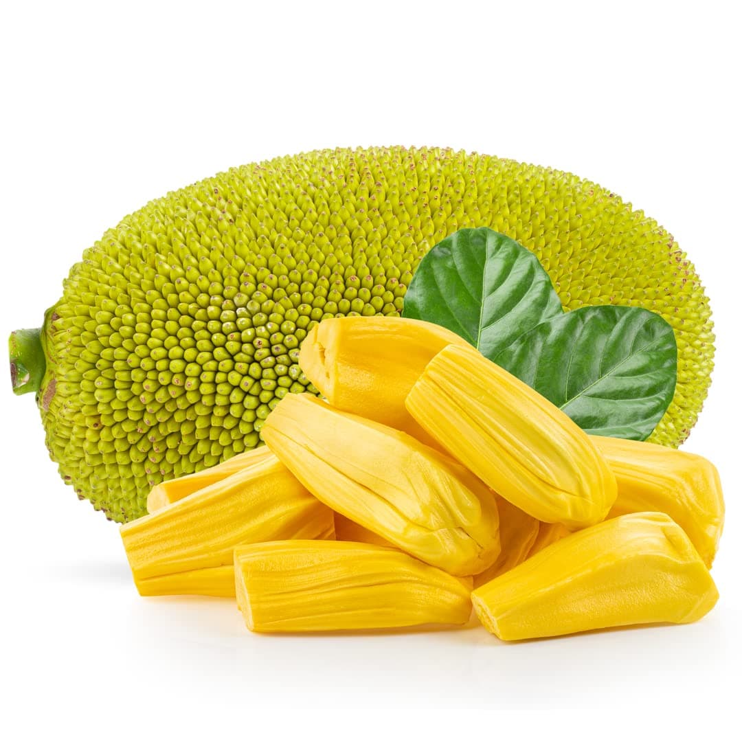 Fresh Jackfruit Whole ~8-14 kg - Weekly Import from Local Farms of Mexico
