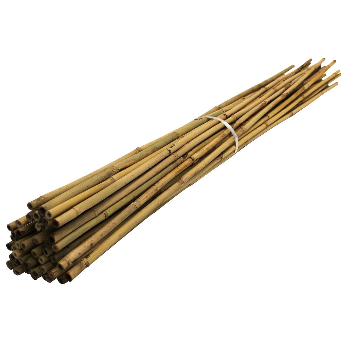 Bamboo Canes For Gardens/Plant Support | Multiple Lengths & Pack Sizes: 3ft to 12ft | Supplied by Suregreen (50, 1.5m / 12-14mm)