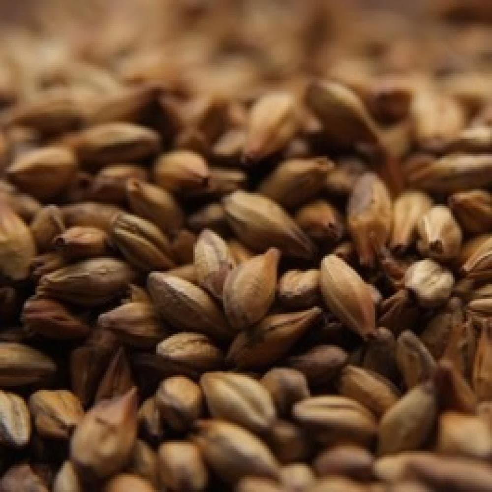 Castle Malting Chateau Special B - 1 LB, Uncrushed