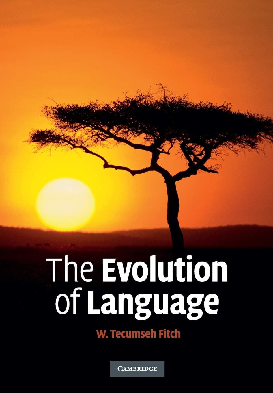 The Evolution of Language (Approaches to the Evolution of Language)