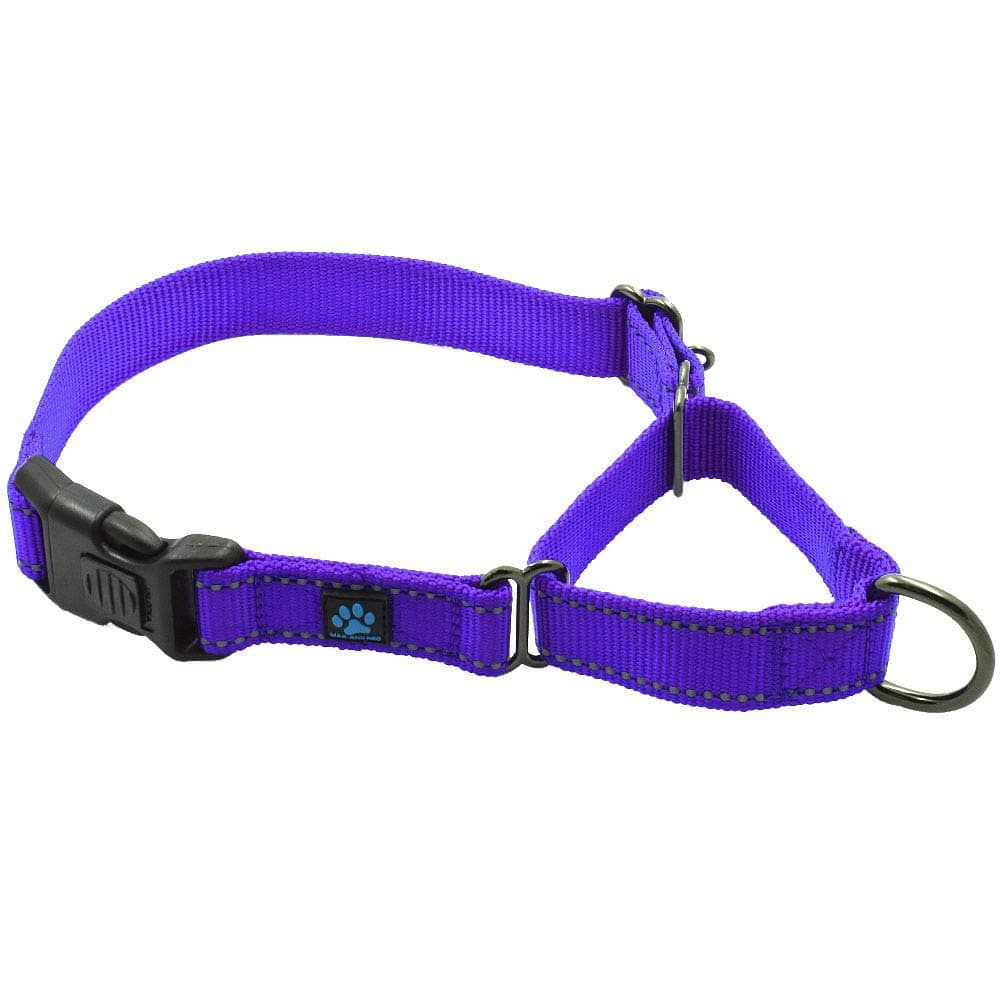 Max and Neo Nylon Martingale Collar - We Donate a Collar to a Dog Rescue for Every Collar Sold Small Purple NYMC-PRP-SM