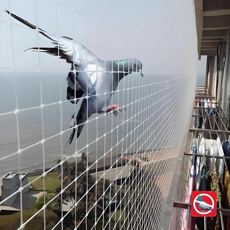 Essoti UV Stabilized Anti Bird Net- Pigeon Net (7 X 9 FT) with Attached Corner Ropes & Installation Kit/Size-