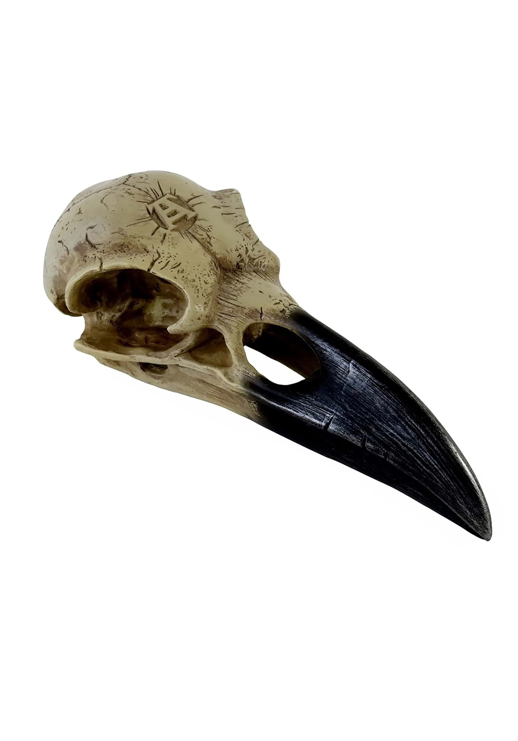 Alchemy Corvus Alchemica Raven Skull